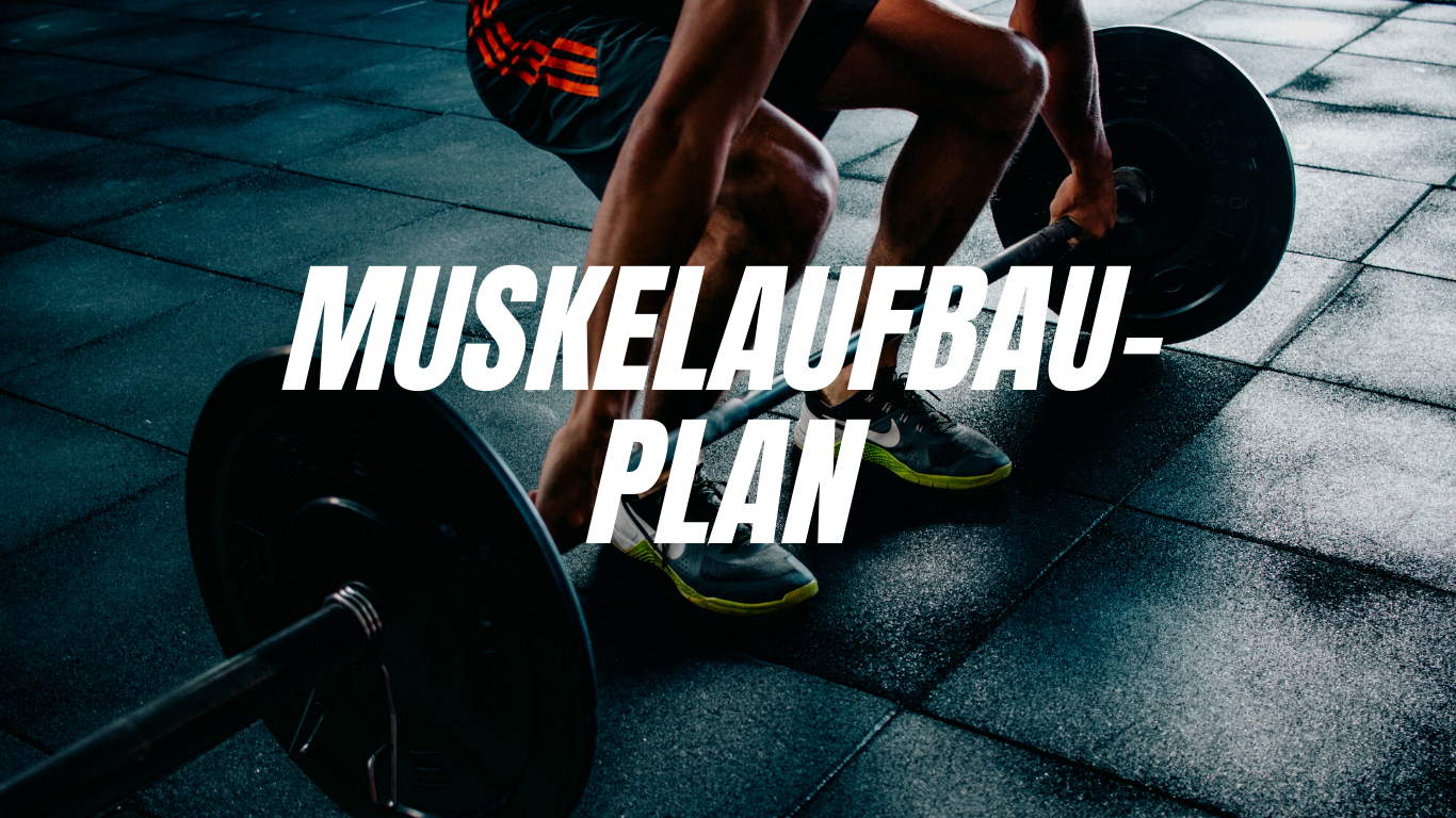 Muskelaufbau Plan – Leitfaden