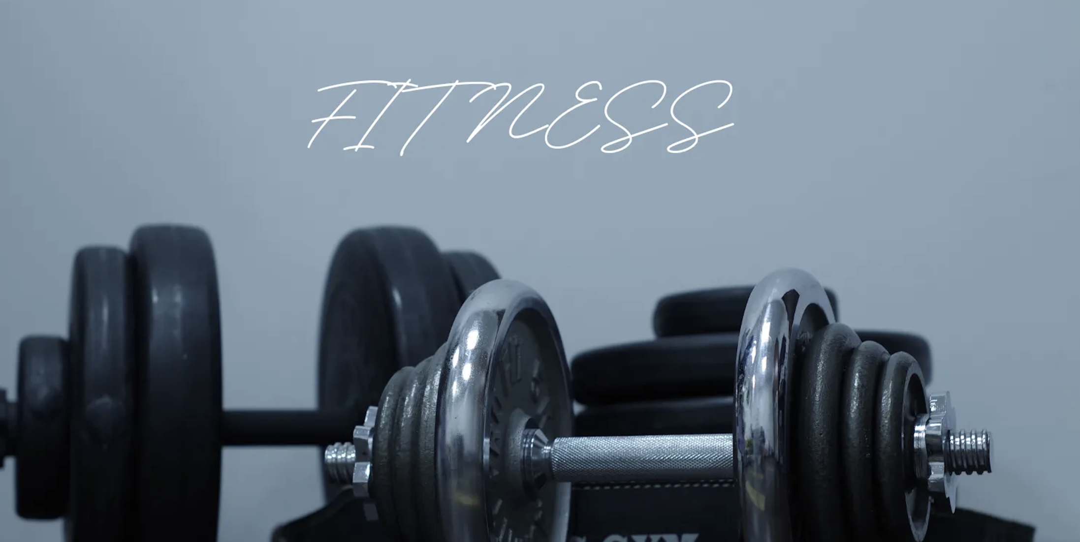 Muskelaufbau & Fitness